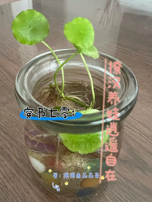足球：十九岁喜提大器晚成系统！