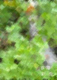 盗墓：选对喜欢的CP嗑
