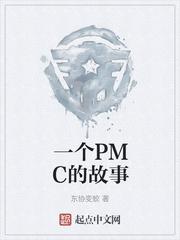 一个PMC的故事