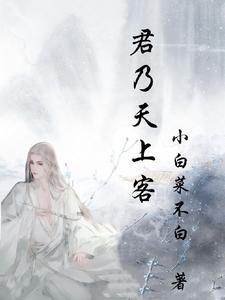 重生祁同伟，踏雪至山巅
