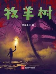 第八个年头沈念傅景淮