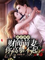 斯德格勒城密事
