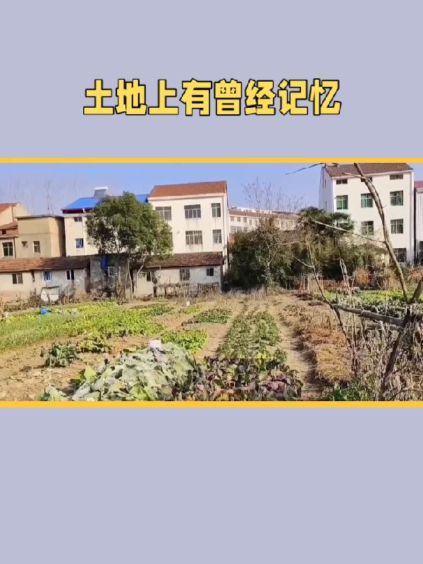 你惹他干嘛，他师傅全是大佬