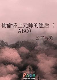 旧日巫师：退役轮回者的永生之路