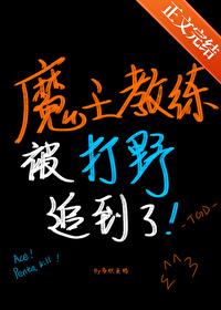 [全职高手] 我不是为了你才玩散人的