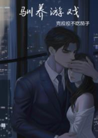 为美好的海贼世界献上痛楚！