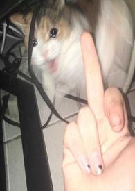 酒厂论坛更新中