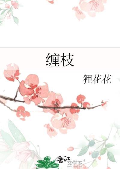 冰刀与星光之间