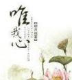 社恐审神者在柯学世界