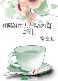 市井娘子养家日常