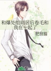 当夏荷绽放