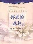 那些年我们的心
