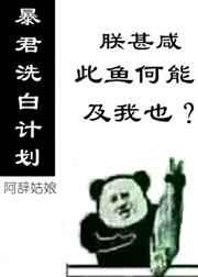 人生缝补日志
