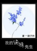 完美继皇后